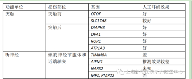 听神经病谱系停滞ANSD相干基因与人工耳蜗植入结果