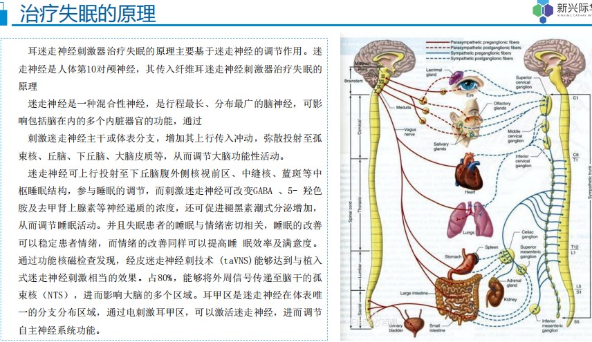 睡眠仪官方介绍图片